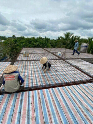 Bạt dứa kẻ sọc 3 màu che công trình xây dựng