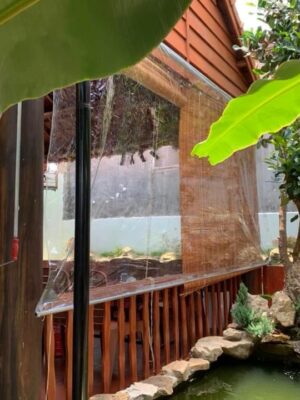 Bạt nhựa PVC trong suốt tự cuốn